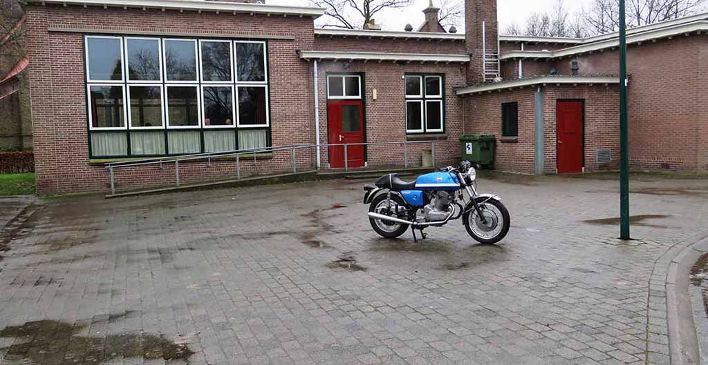 De Moespot achterveld